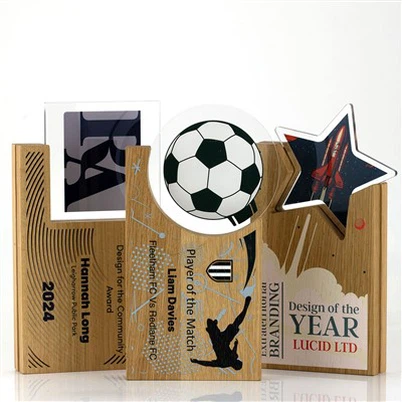 Wood Hovering Circle Sports Award